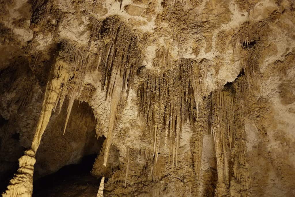 Carlsbad Caverns (Carlsbad), New Mexico