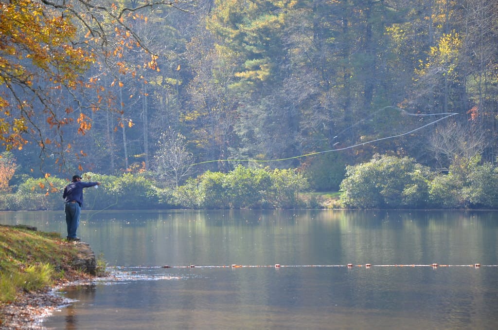 Chattahoochee-Oconee National Forest, Georgia