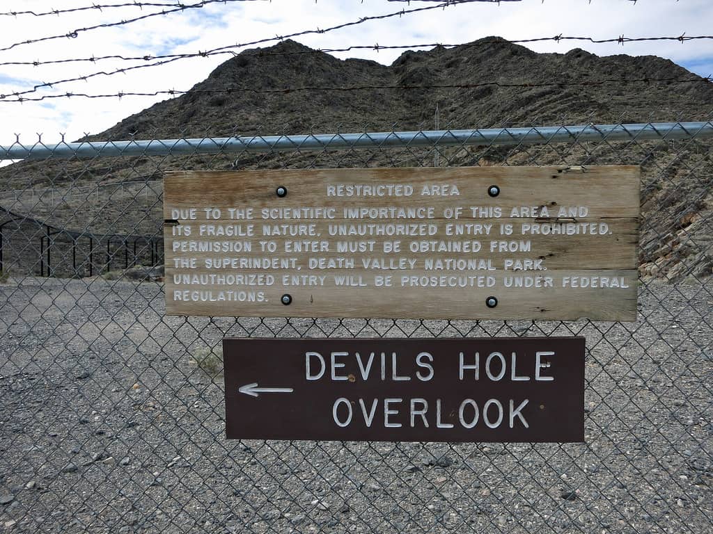 Devil’s Hole Nevada