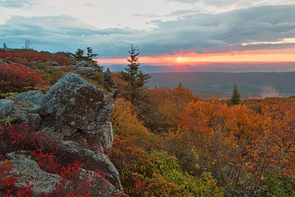 Dolly Sods Wilderness Area, West Virginia