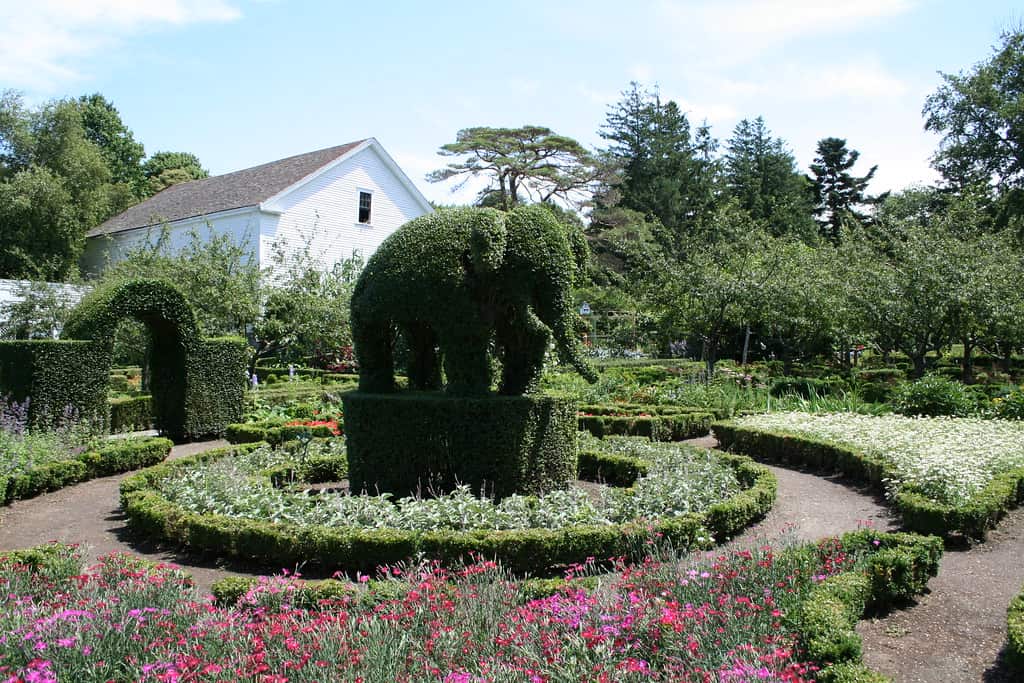 Green Animals Topiary Garden, Rhode Island