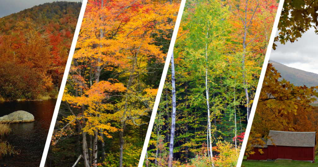 Green Mountain National Forest Vermont, USA