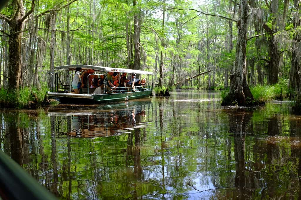 Honey Island Swamp Tours, Louisiana