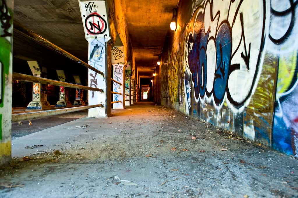 Krog Street Tunnel, Georgia