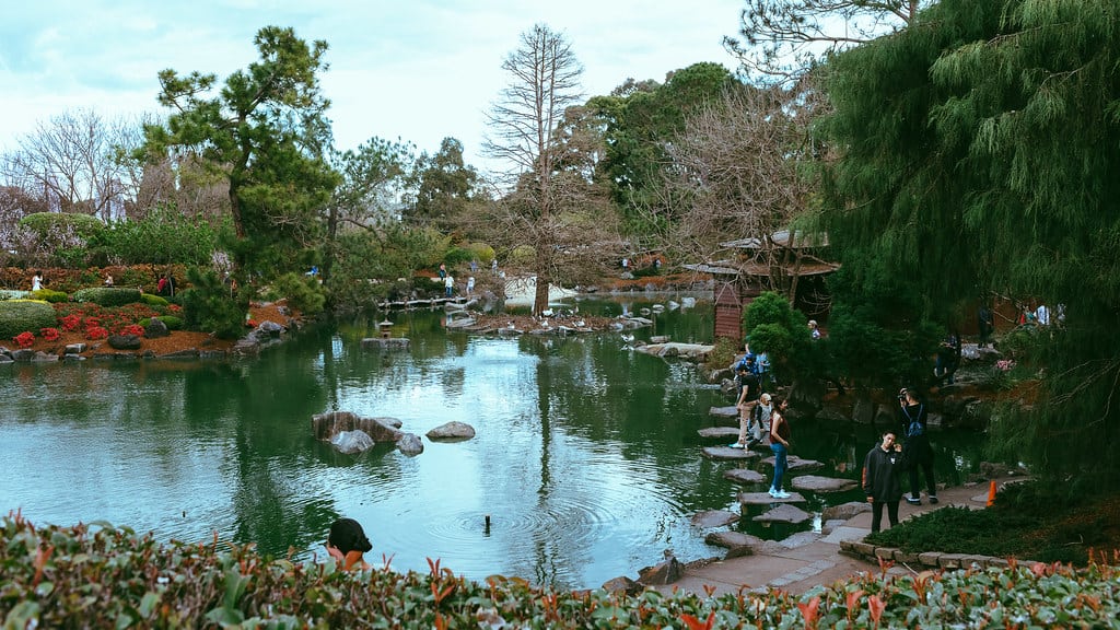 Auburn Botanic Garden, Sydney, Australia 