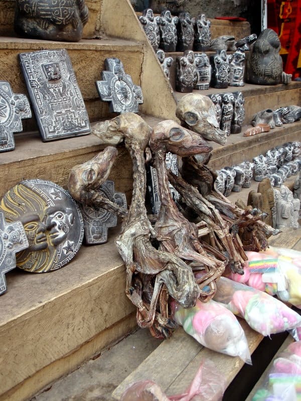 Dried llama fetuses at Witches’ Market, La Paz, Bolivia