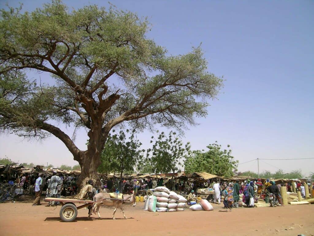 Gorom Gorom, Burkina Faso