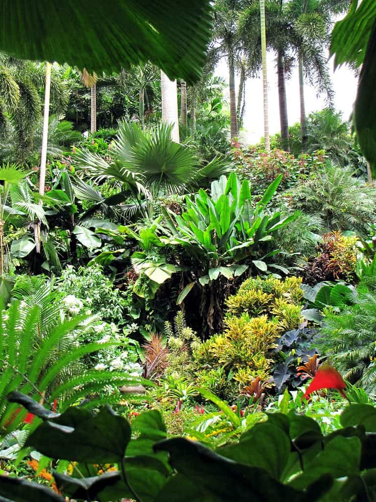 Hunte's Garden, Barbados