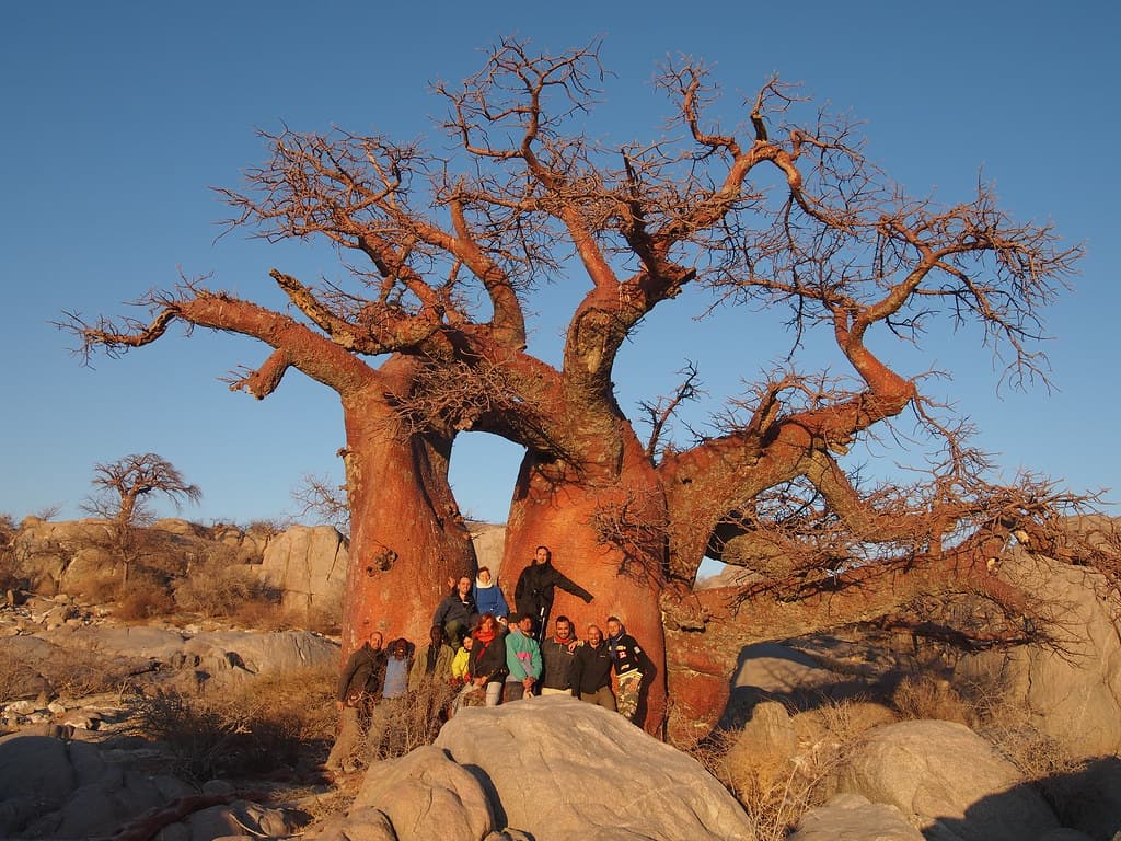 Kubu Island, Botswana