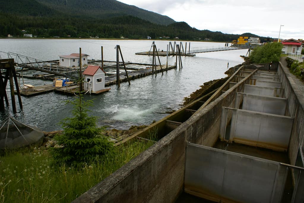 Macaulay Salmon Hatchery Juneau Alaska