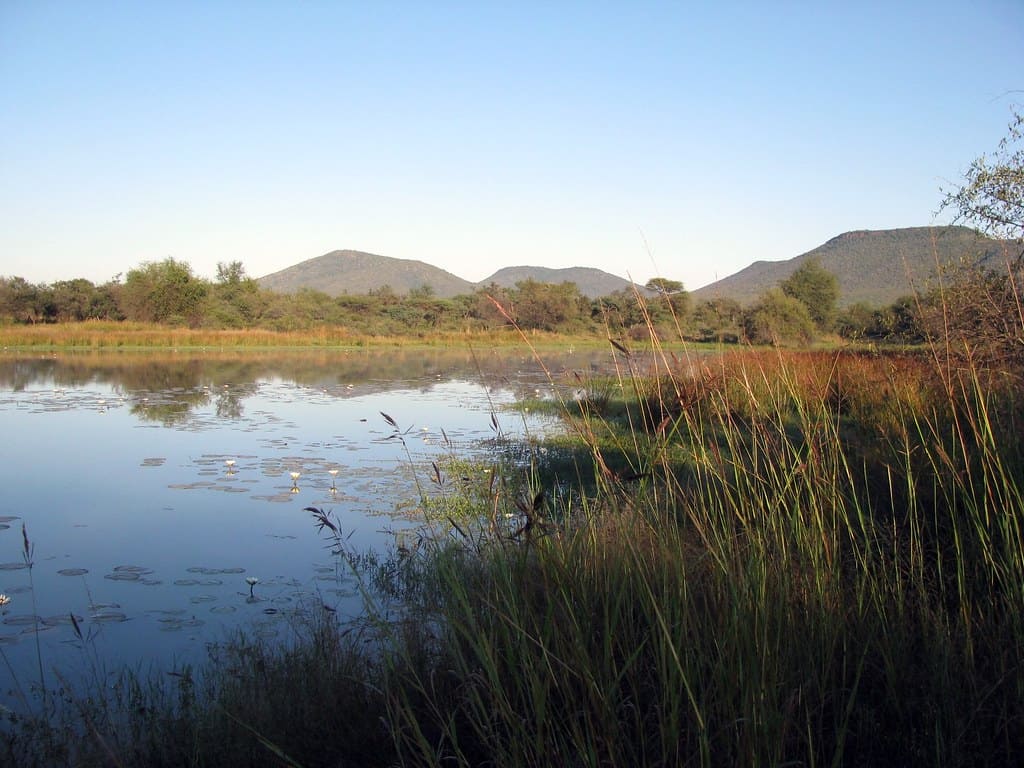 Mokolodi Nature Reserve, Botswana
