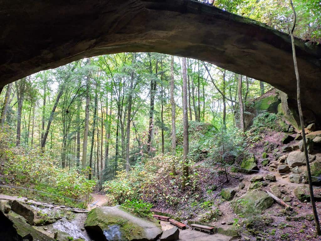 Natural Bridge Alabama