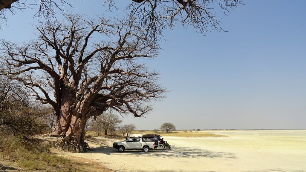 Nxai Pan National Park, Botswana