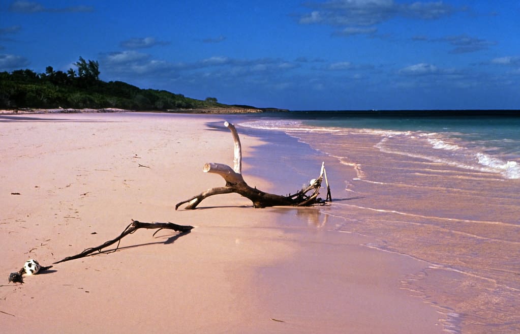 Pink Sand, The Bahamas