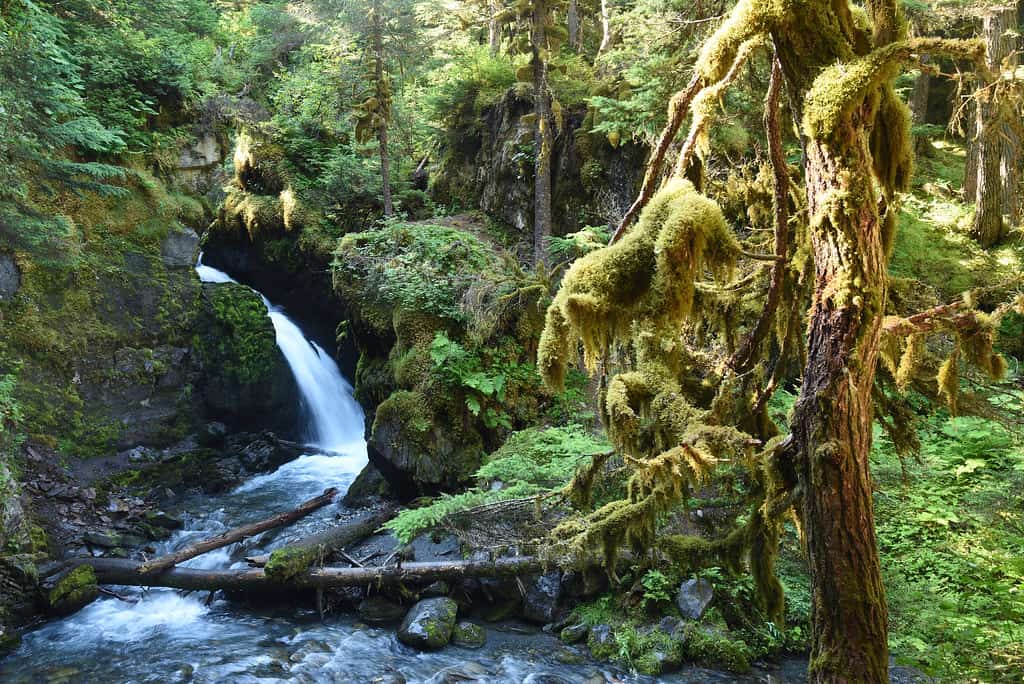 Virgin Creek Falls, Anchorage, Alaska