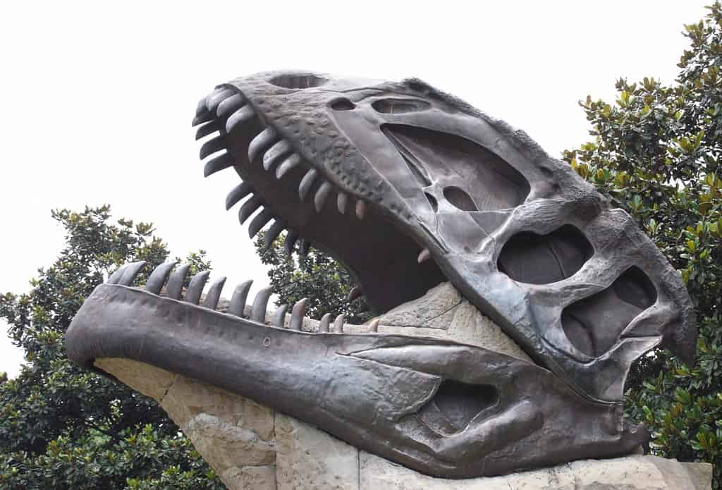 Zigong Dinosaur Museum, Chengdu, China