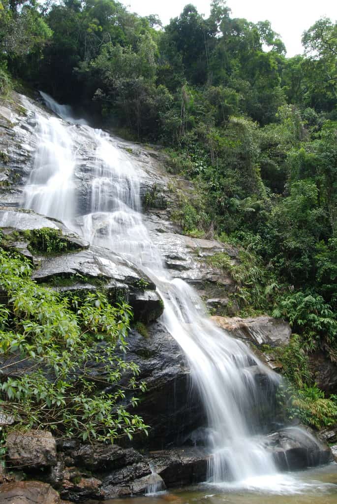 The Taunay Waterfall in Tijuca National Park