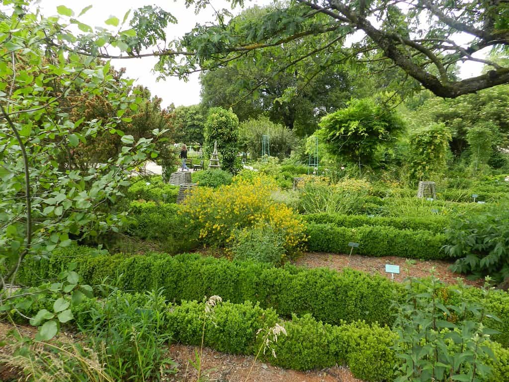 Arquebuse Garden, Dijon, France