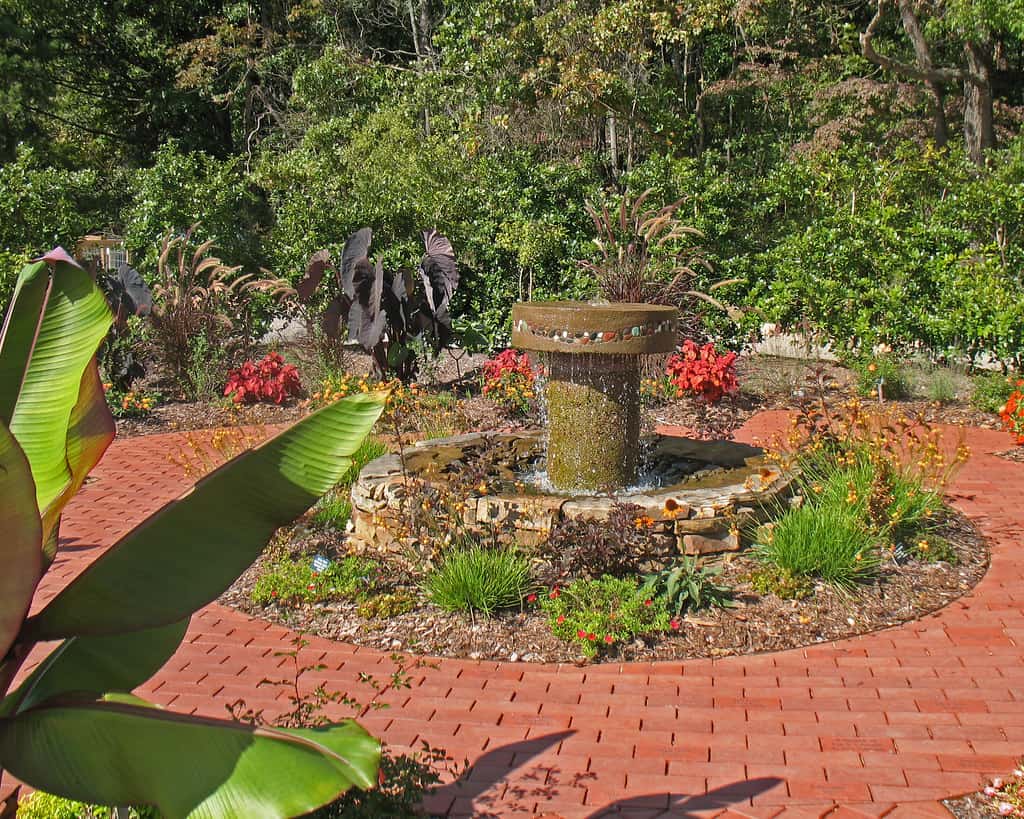 Botanical Garden of the Ozarks Fayetteville