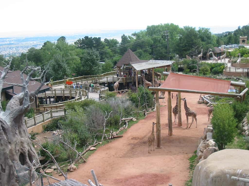 Cheyenne Mountain Zoo Colorado Springs Colorado