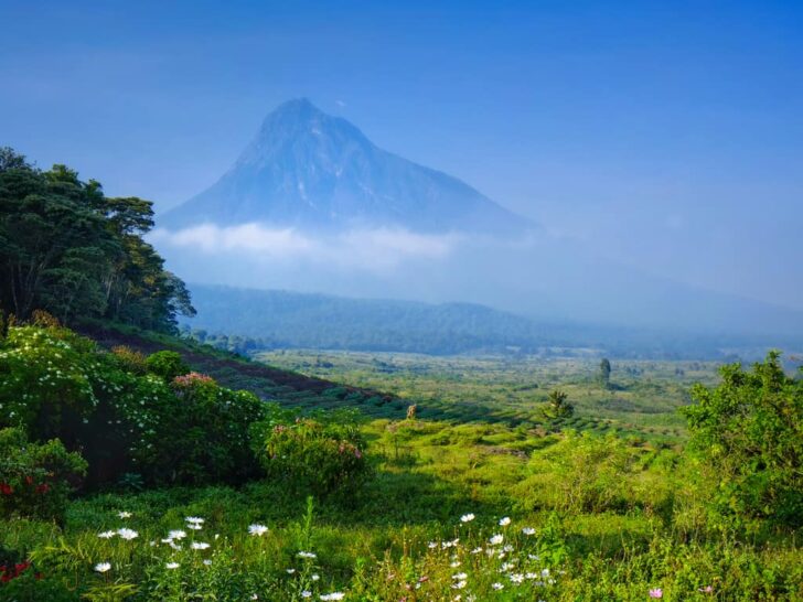 Best & Fun Things To Do + Places To Visit In the Republic of the Congo. #Top Attractions