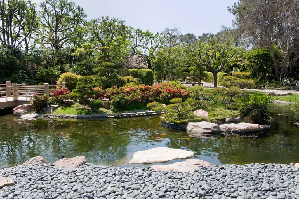 Earl Burns Miller Japanese Garden Long Beach