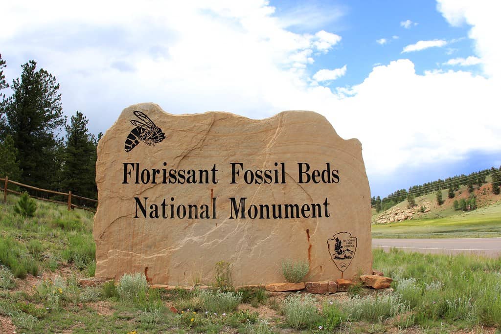 Florissant Fossil Beds Colorado Springs Colorado