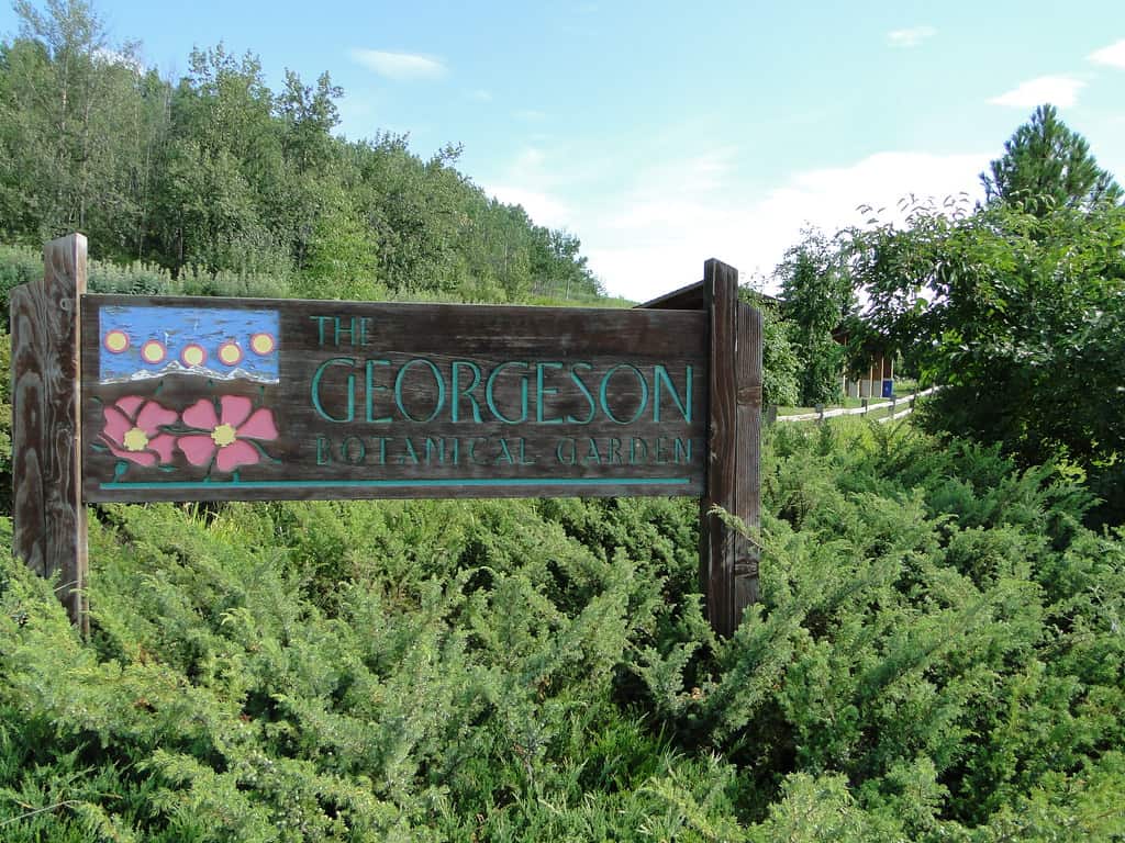 Georgeson Botanical Garden Fairbanks