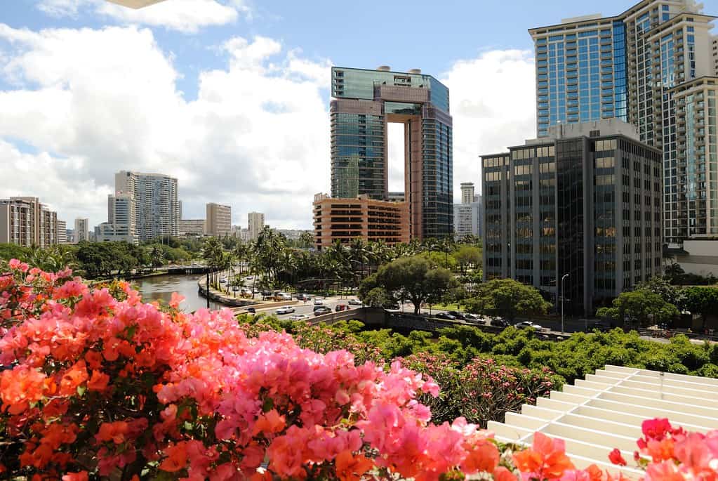 Hawaii Convention Center Waikiki Hawaii