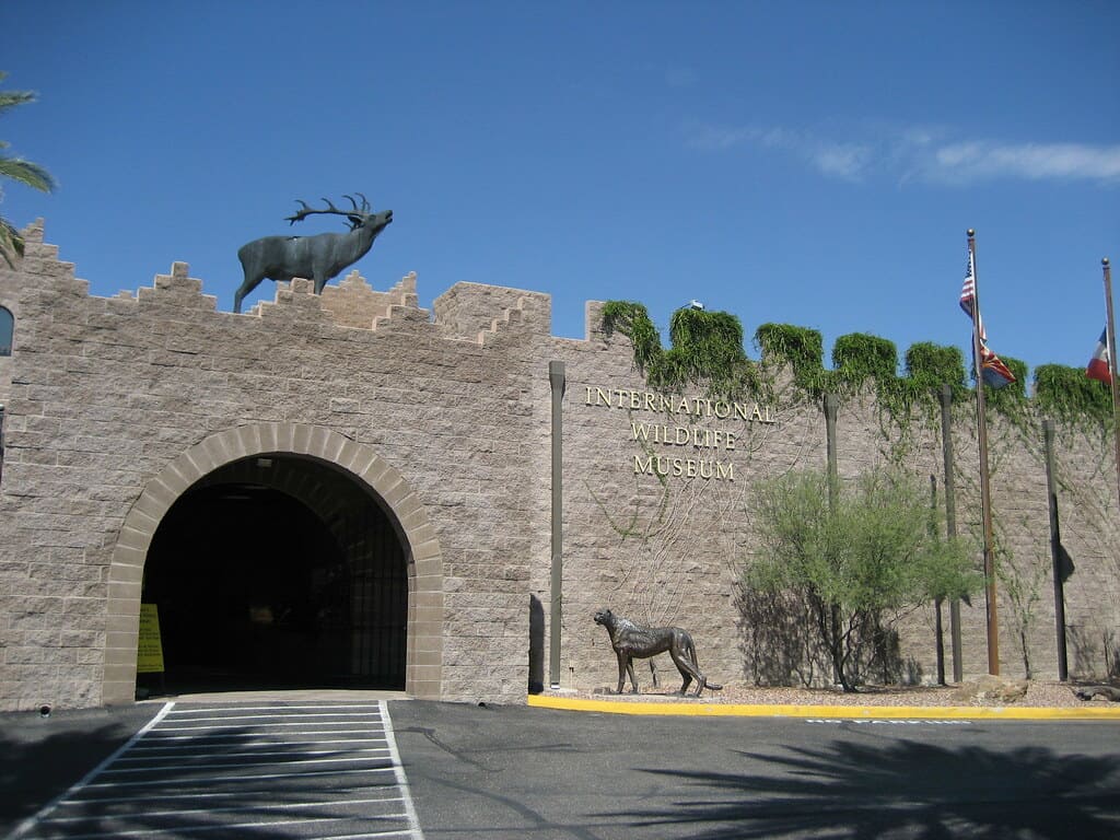 International Wildlife Museum Tucson Arizona