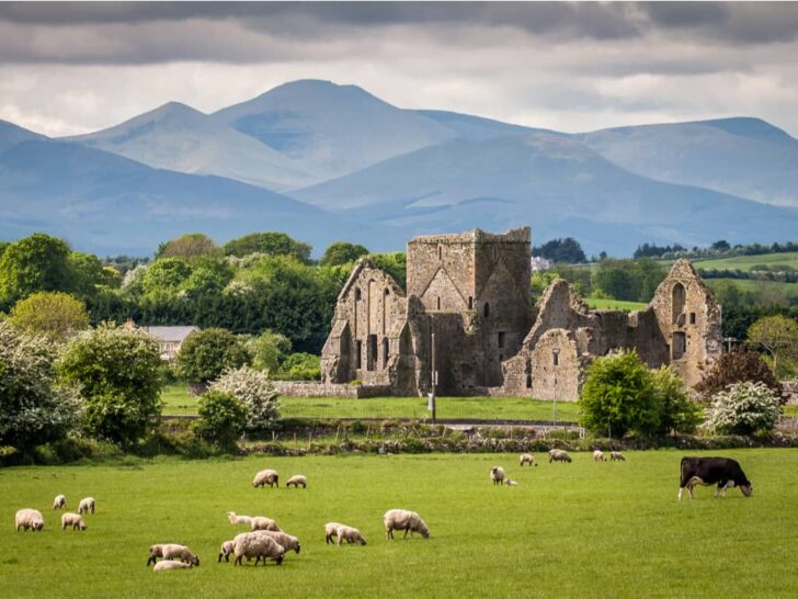 Best & Fun Things To Do + Places To Visit In Ireland. #Top Attractions