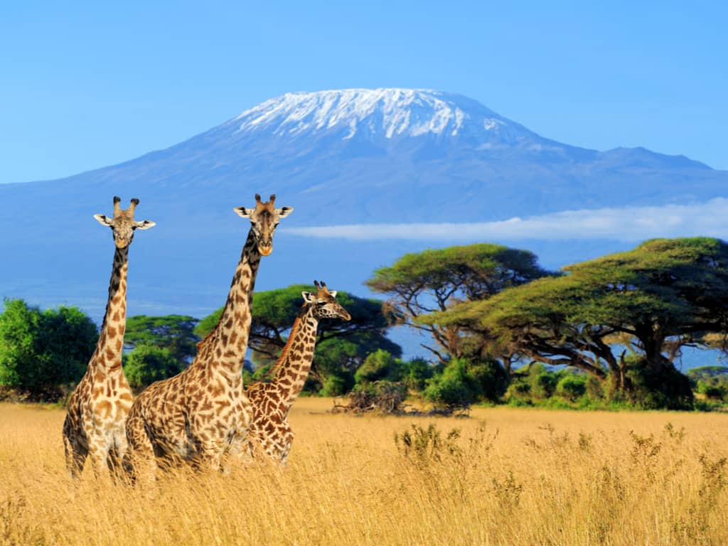 Visit and Explore Kenya