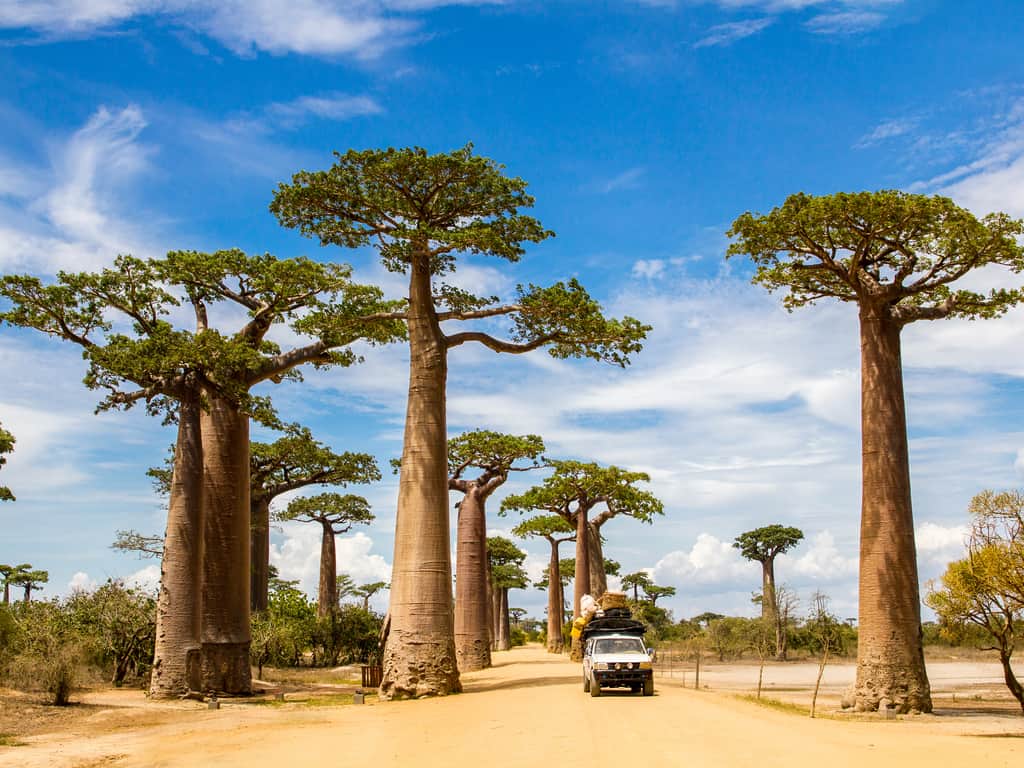 Visit and Explore Madagascar