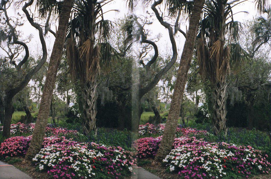 Marie Selby Botanical Gardens Sarasota Florida