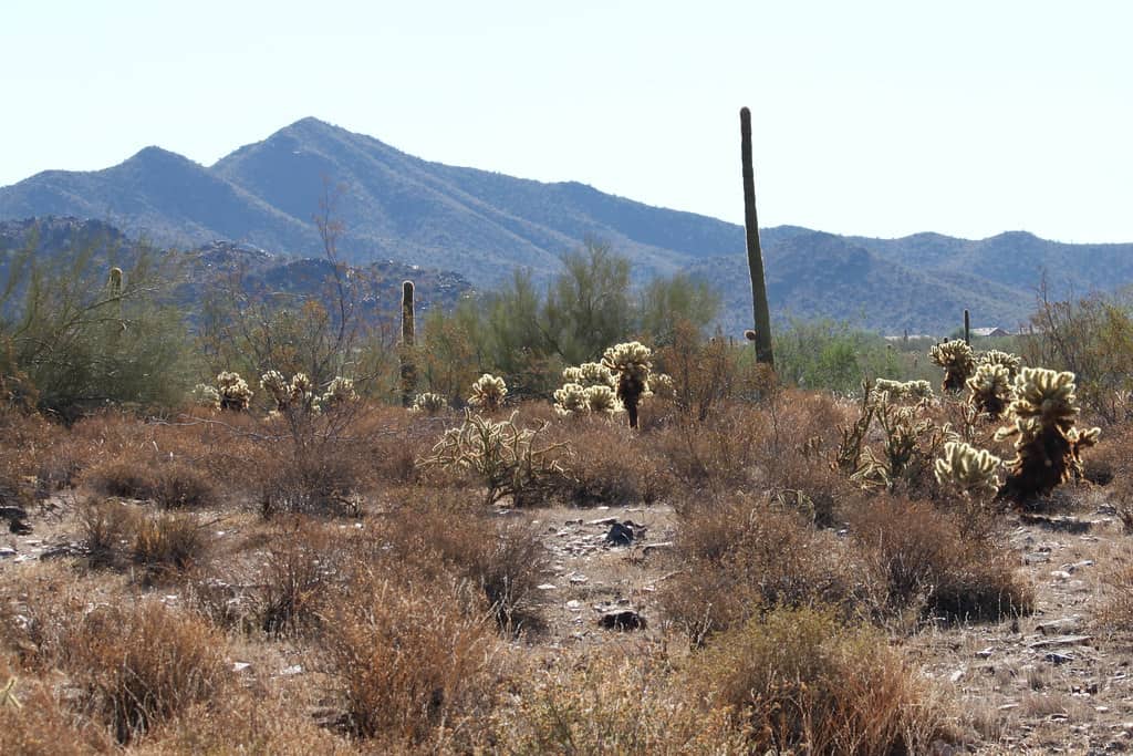 McDowell Sonoran Preserve Scottsdale Arizona