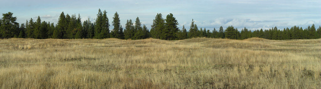 Mima Mounds Olympia, Washington
