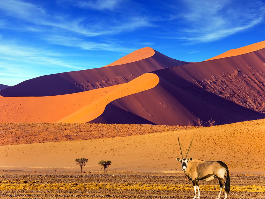 Visit and Explore Namibia