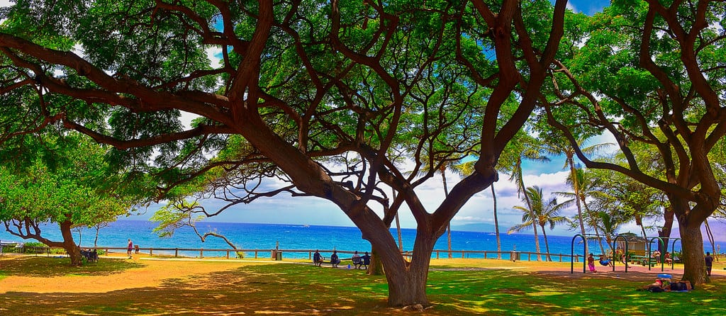 Pacific Park , Santa, Monica, California