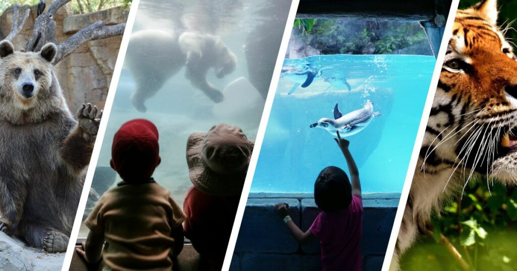 Point Defiance Zoo & Aquarium, Tacoma, Washington