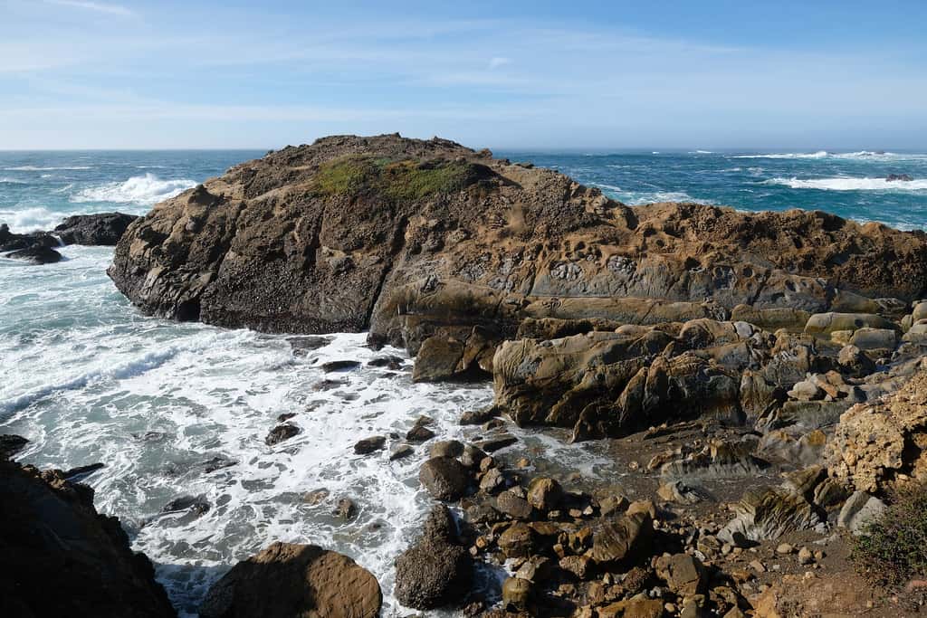 Point Lobos Natural Reserve Monterey California