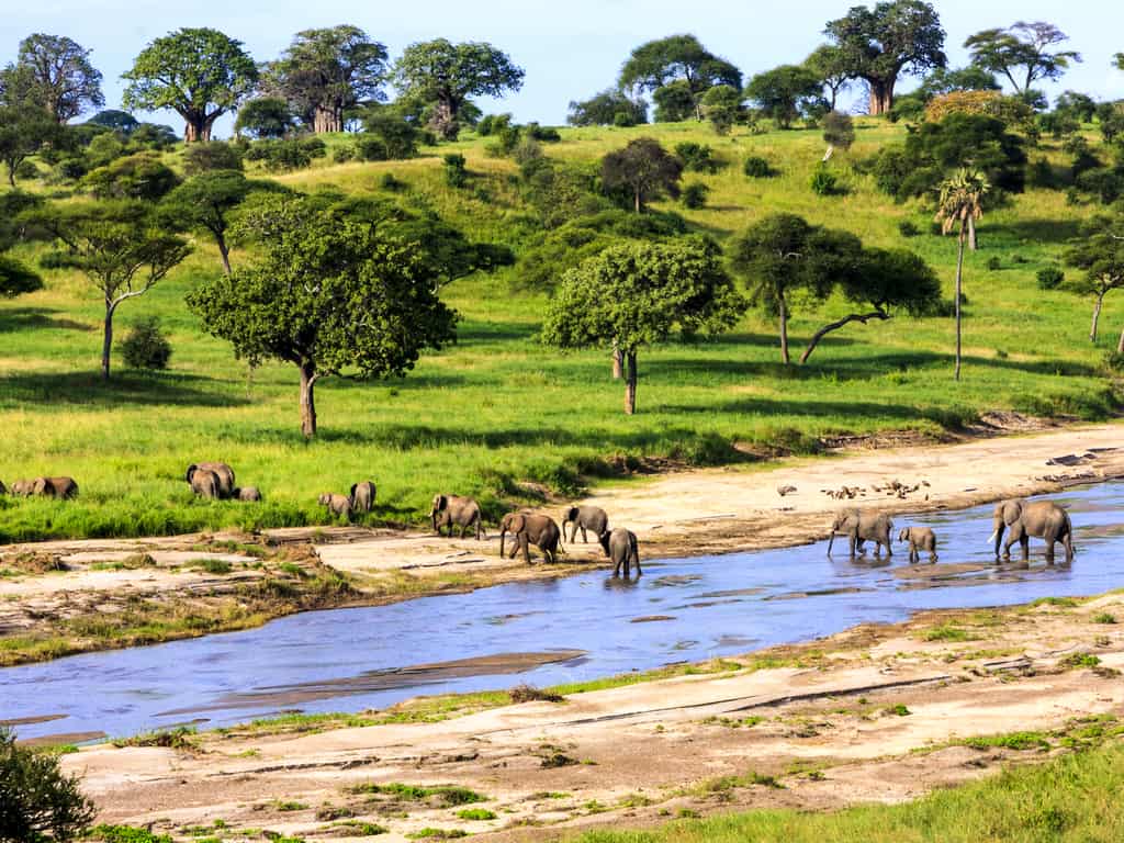 Visit and Explore Tanzania