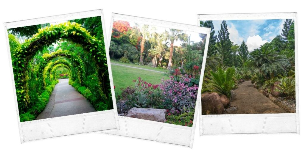 The Botanical Garden of Bingerville Côte d’Ivoire