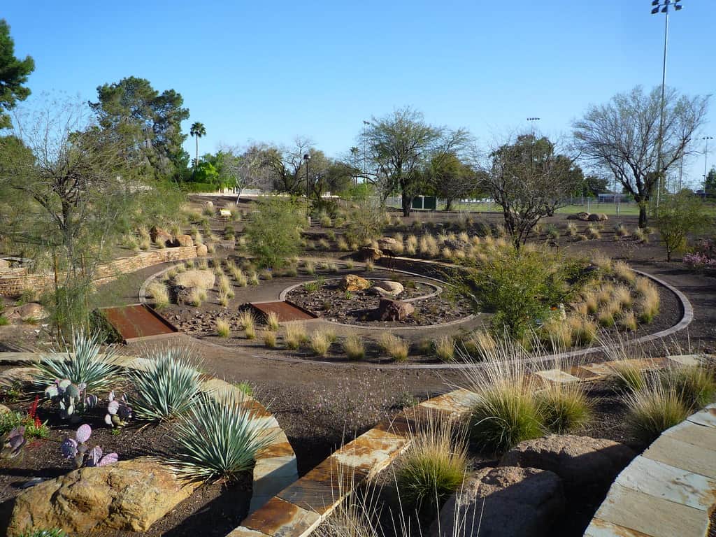 The Scottsdale Xeriscape Garden at Chaparral Park Scottsdale Arizona