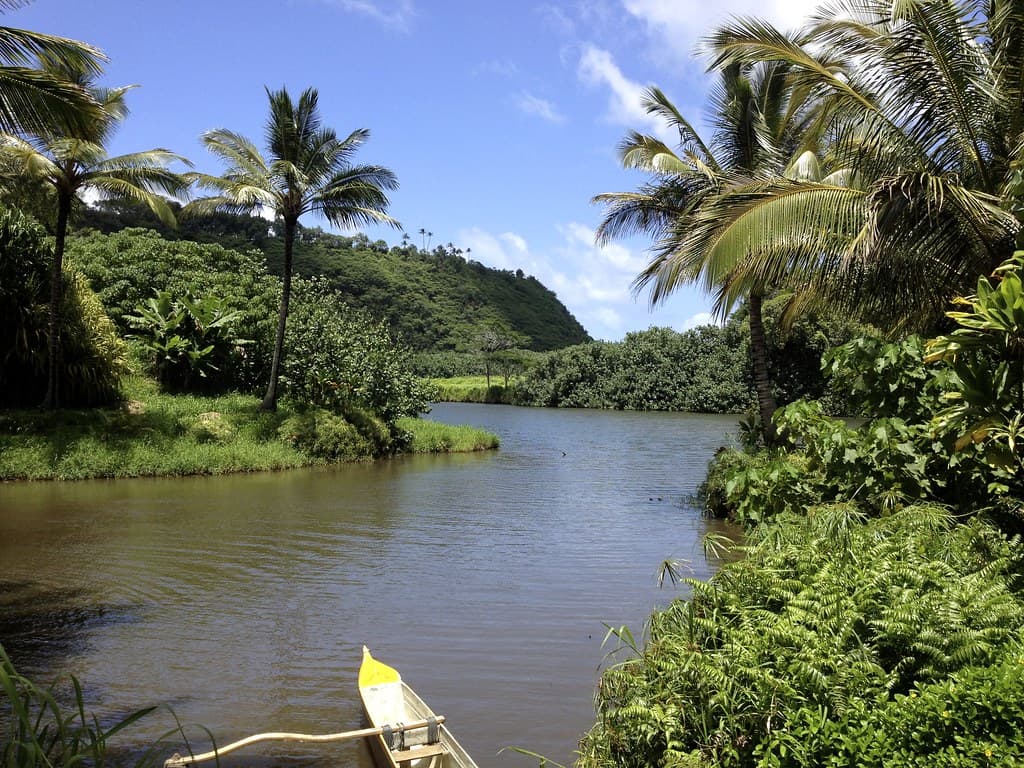 Wailua River State Park , Kauai Hawaii