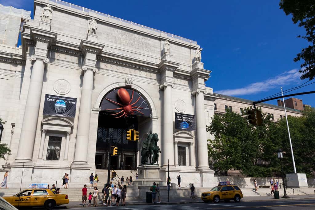 American Museum of Natural History, New York City, New York