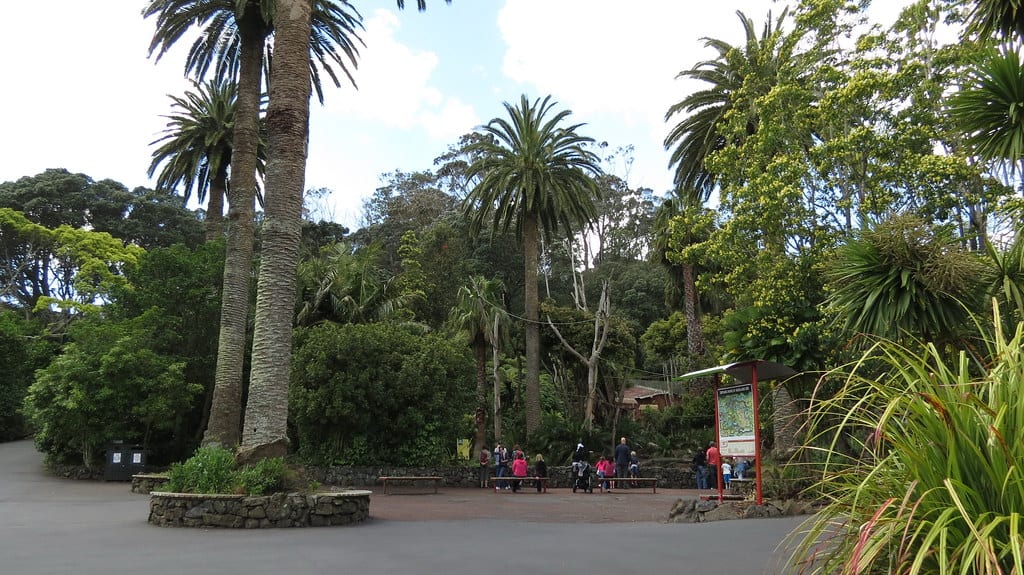 Auckland Zoo Auckland New Zealand