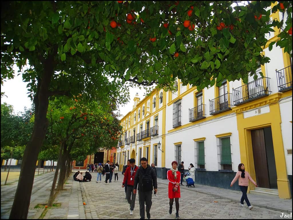 Barrio Santa Cruz, Seville, Spain