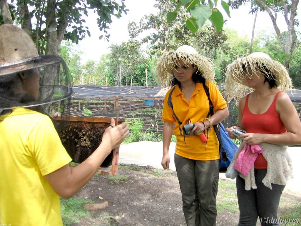 Bohol Bee Farm, Bohol, Philippines