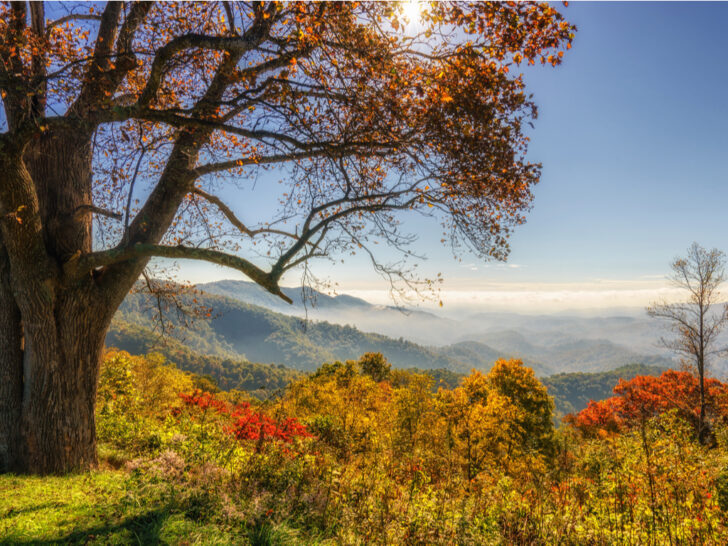 Best & Fun Things To Do & Places To Visit In Boone, North Carolina