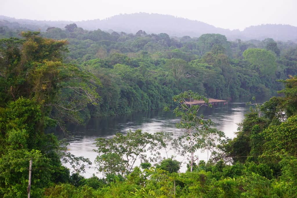 Brownsberg Nature Park, Suriname